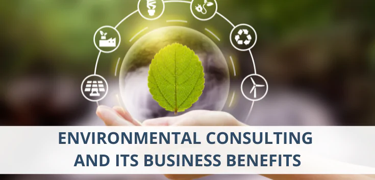 environmental-consulting-and-its-business-benefits