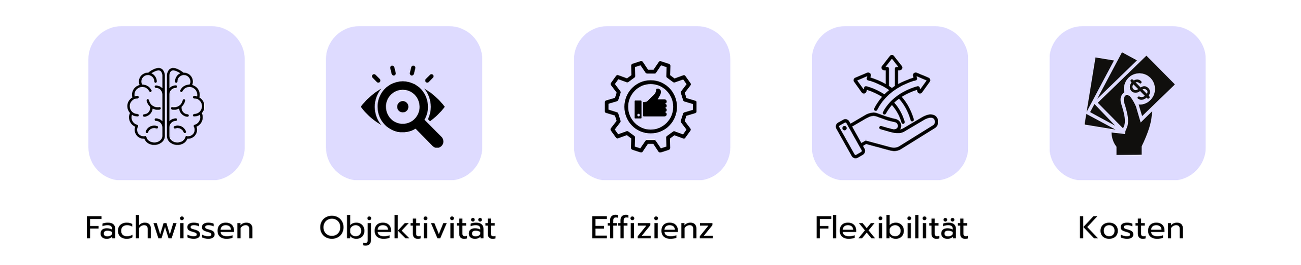 Grafik mit fünf Gründen, warum Unternehmen Beratungsfirmen beauftragen: Fachwissen, Objektivität, Effizienz, Flexibilität und Kosten.